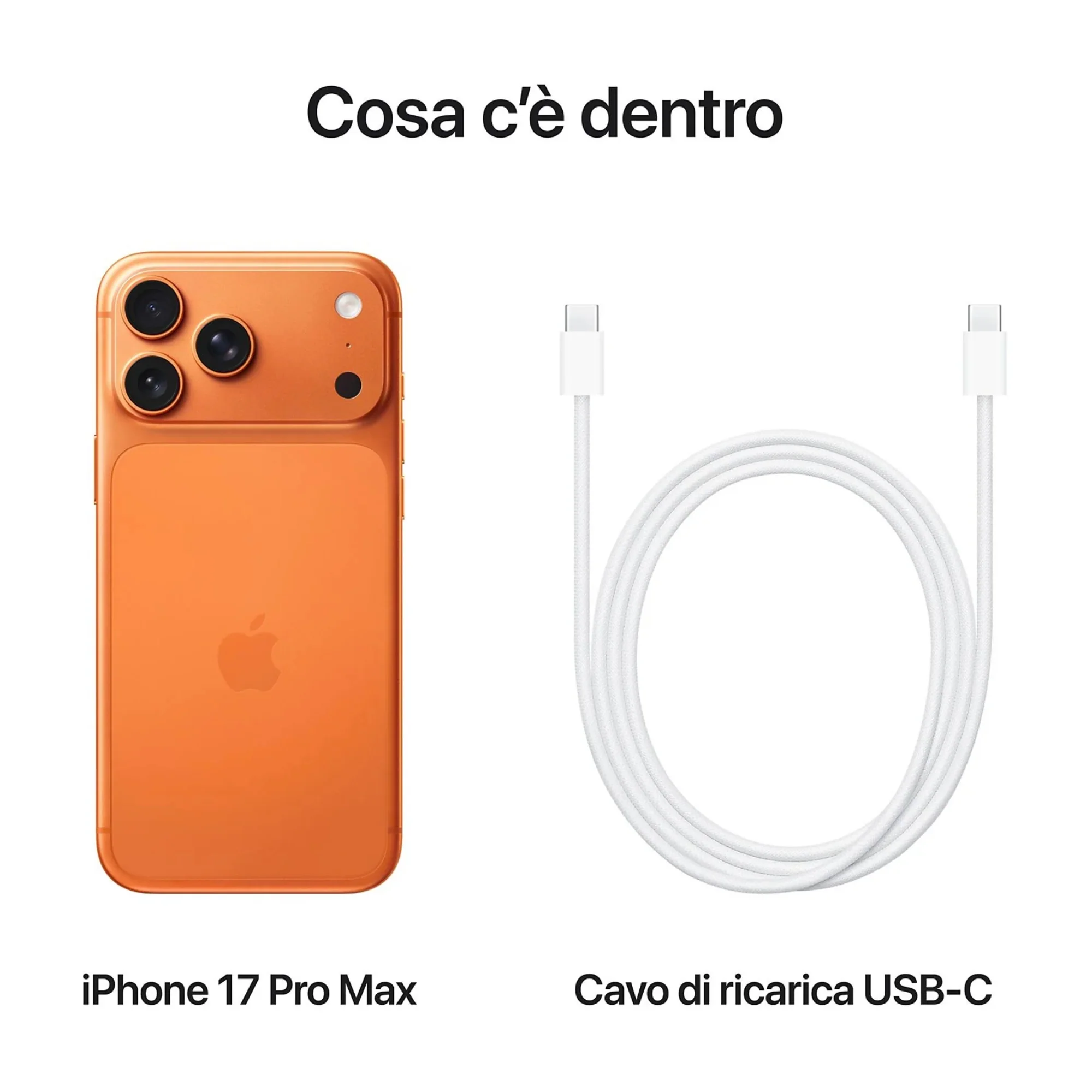 Miniatura 11